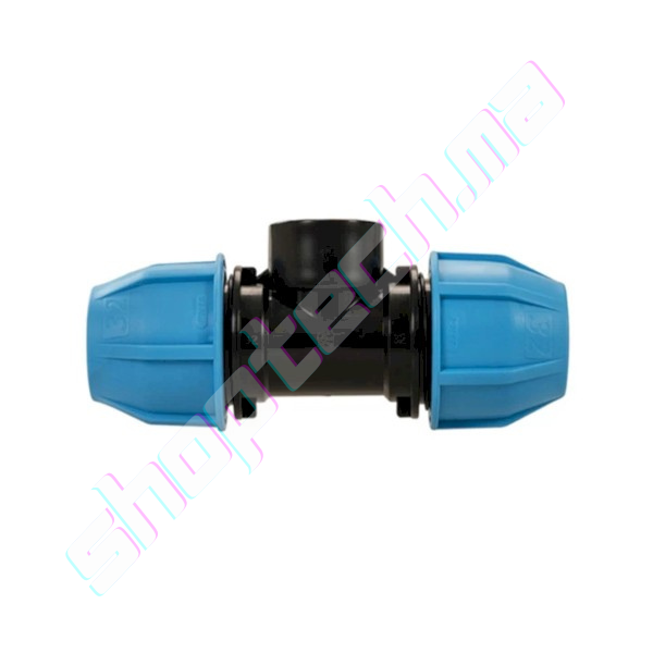 Tes femelle unidelta 50